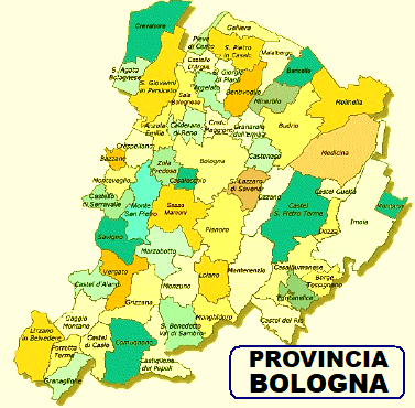 DISINFESTAZIONE DA VESPE E CALABRONI A BOLOGNA CENTRO CITTA' e IN TUTTA  LA PROVINCIA DI BOLOGNA E IN EMILIA-ROMAGNA