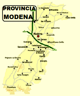 DISINFESTAZIONE DA VESPE E CALABRONI A MODENA CENTRO CITTA' e IN TUTTA  LA PROVINCIA DI MODENA E IN EMILIA-ROMAGNA