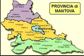 DISINFESTAZIONE DA VESPE E CALABRONI A MANTOVA CENTRO CITTA' e IN TUTTA  LA PROVINCIA DI MANTOVA E IN LOMBARDIA