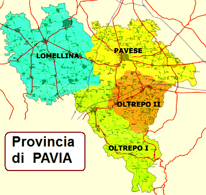 DISINFESTAZIONE DA VESPE E CALABRONI A PAVIA CENTRO CITTA' e IN TUTTA  LA PROVINCIA DI PAVIA E IN LOMBARDIA