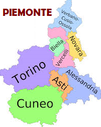 DISINFESTAZIONE DA VESPE E CALABRONI IN TUTTO IL PIEMONTE -  Alessandria,  Asti,  Biella, Cuneo, Novara, Torino, Verbano-Cusio-Ossola,  Vercelli.