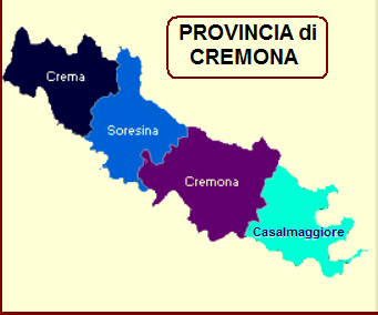 DISINFESTAZIONE DA VESPE E CALABRONI A CREMONA CENTRO CITTA' e IN TUTTA  LA PROVINCIA DI CREMONA E IN LOMBARDIA