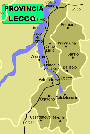 DISINFESTAZIONE DA VESPE E CALABRONI A LECCO CENTRO CITTA' e IN TUTTA  LA PROVINCIA DI LECCO E IN LOMBARDIA