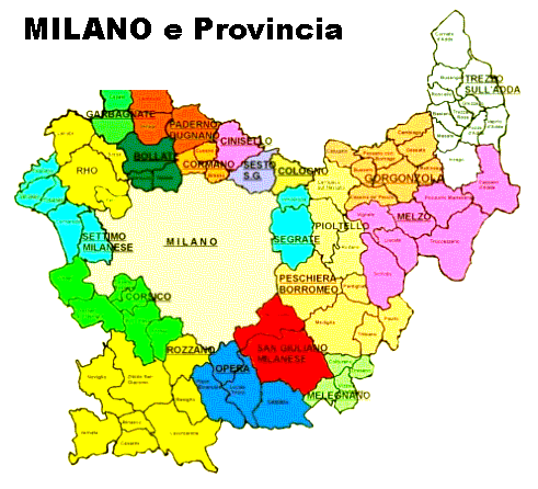 DISINFESTAZIONE DA VESPE E CALABRONI A MILANO CENTRO CITTA' e IN TUTTA  LA PROVINCIA DI MILANO E IN LOMBARDIA