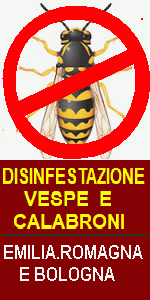 DISINFESTAZIONE NIDI DI VESPE ECALABRONI e INSETTI NOCIVI, blatte, formiche, zecche e zanzara tigre