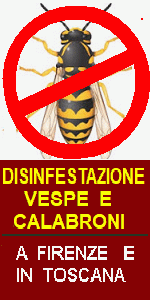 https://www.vespe-calabroni.com - DISINFESTAZIONE DA VESPE E CALABRONI - NIDI DI VESPA NIDO DI CALABRONI in TOSCANA, PIEMONTE e LOMBARDIA - disinfestazione da blatte, zanzara tigre, cimici, formiche e altri insetti pericolosi 
