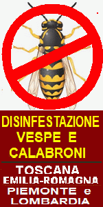 https://www.vespe-calabroni.com - DISINFESTAZIONE DA VESPE E CALABRONI - NIDI DI VESPA NIDO DI CALABRONI in TOSCANA, PIEMONTE e LOMBARDIA - disinfestazione da blatte, zanzara tigre, cimici, formiche e altri insetti pericolosi 